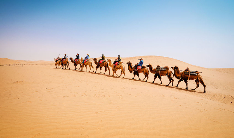 寧夏外貿企業借助RCEP在海外市場&ldquo;乘風破浪&rdquo;