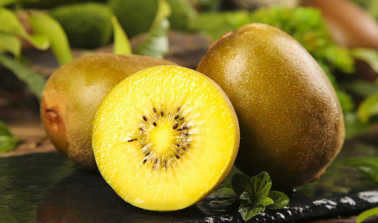 首批中國產獼猴桃正式亮相智利市場