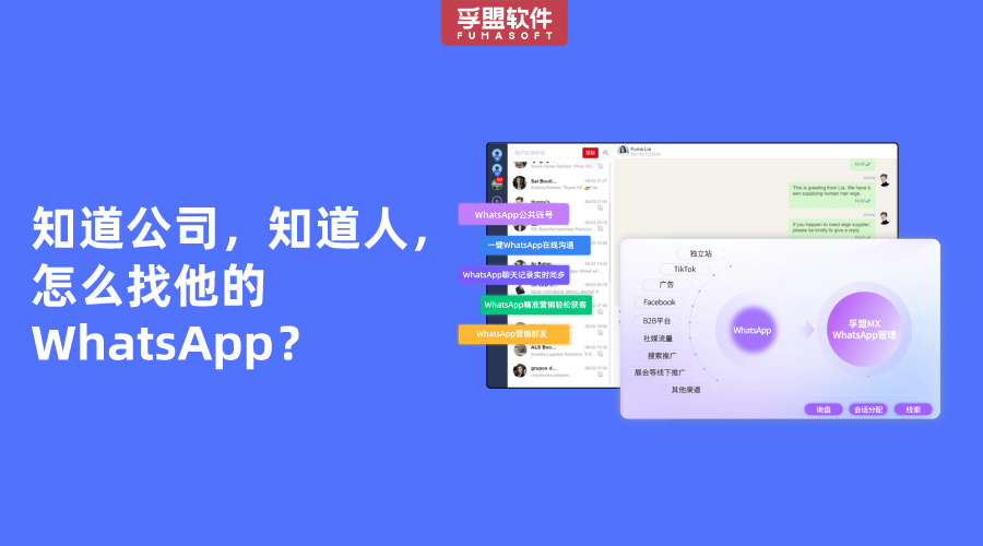 知道公司，知道人，怎么找他的WhatsApp