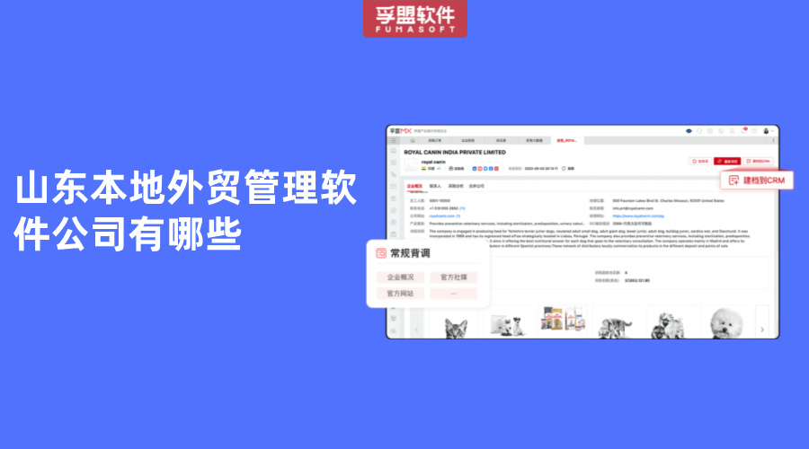 山東本地外貿管理軟件公司有哪些