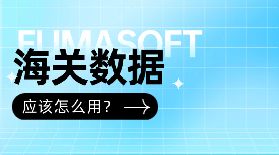 海關數據怎么用？從市場洞察到客戶管理的全流程解析