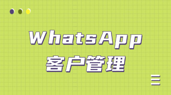 WhatsApp客戶管理：AI智能體翻譯 + 客戶畫(huà)像