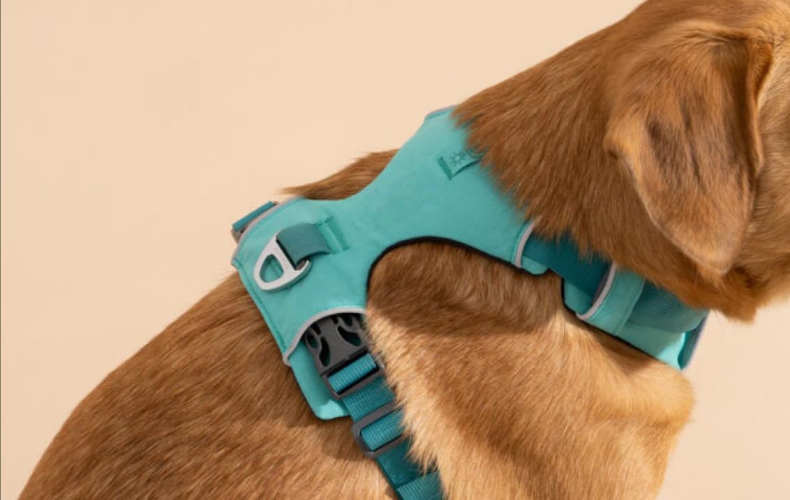 深圳市哲茵智能科技有限公司