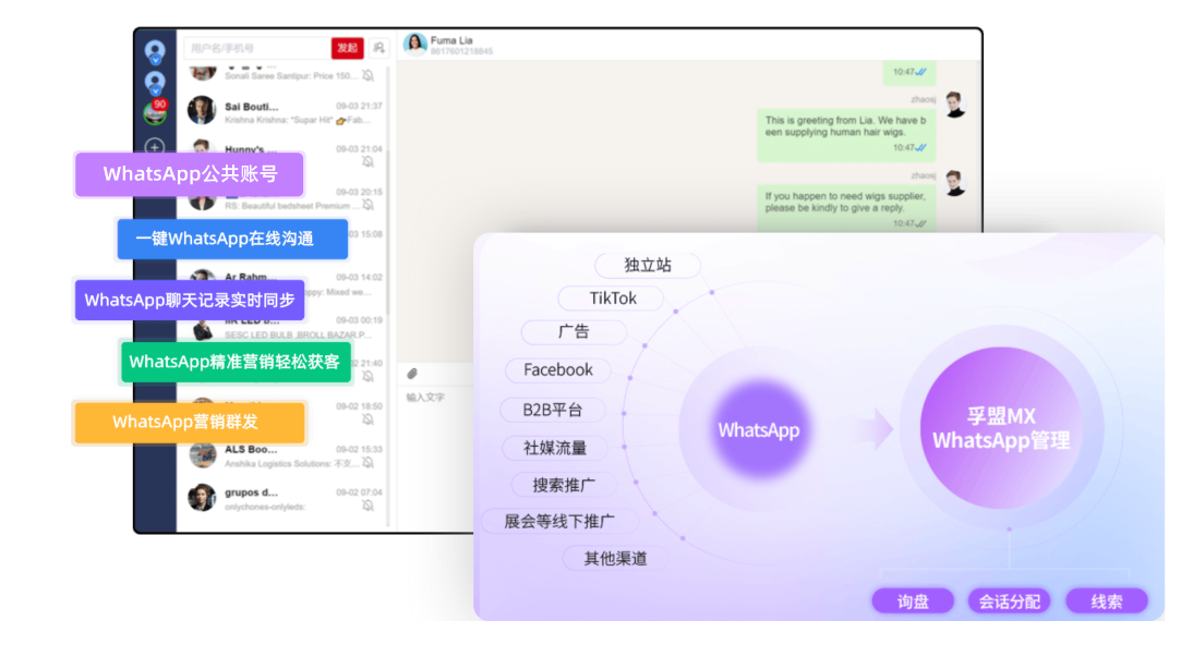 WhatsApp管理軟件展示
